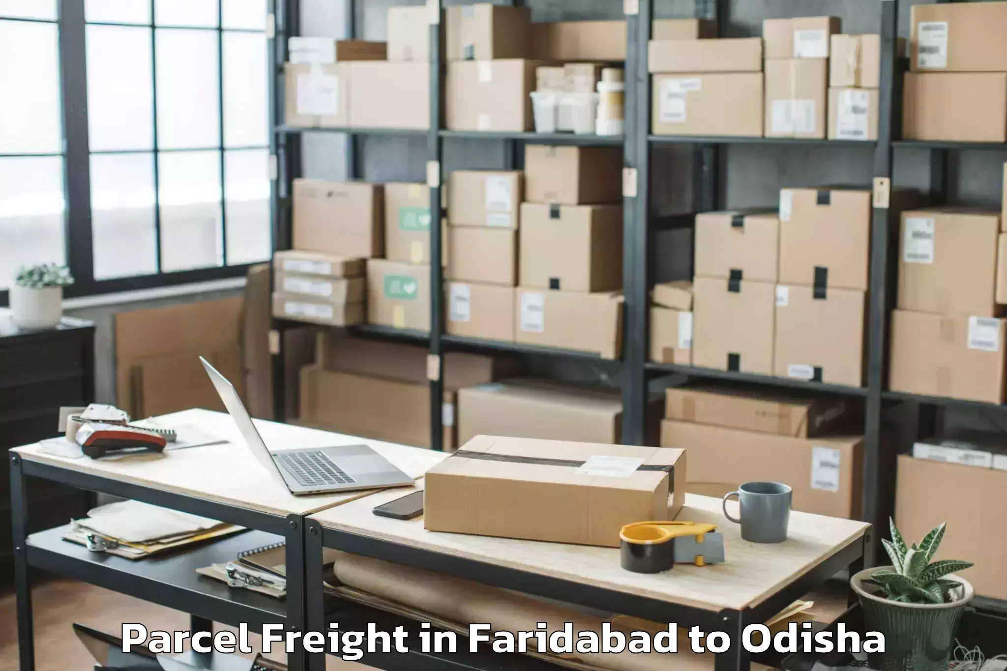 Book Faridabad to Khordha Parcel Freight Online